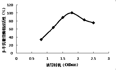 Cold-shock expression T-vector and application method thereof