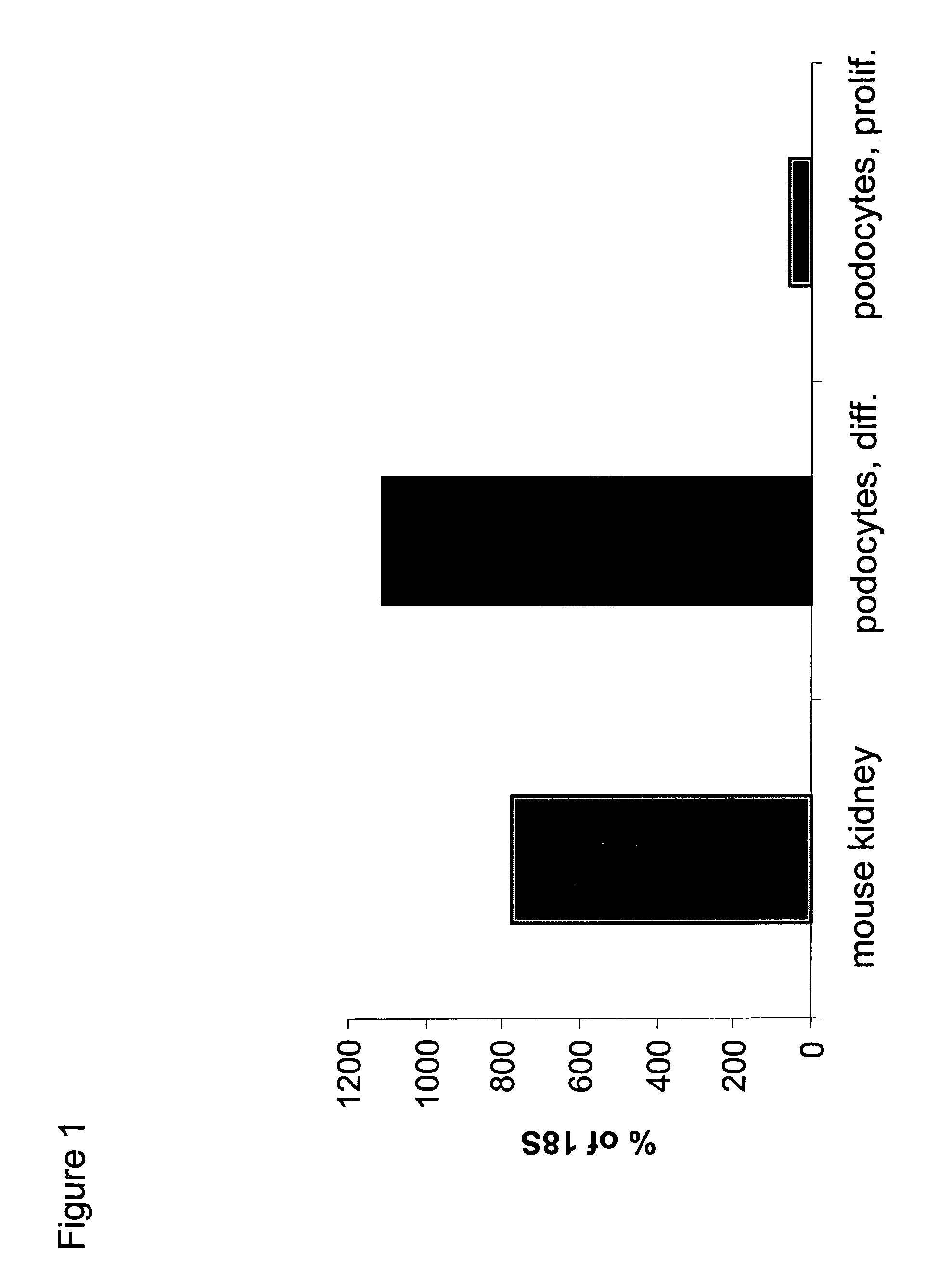 Methods for treating podocyte-related disorders