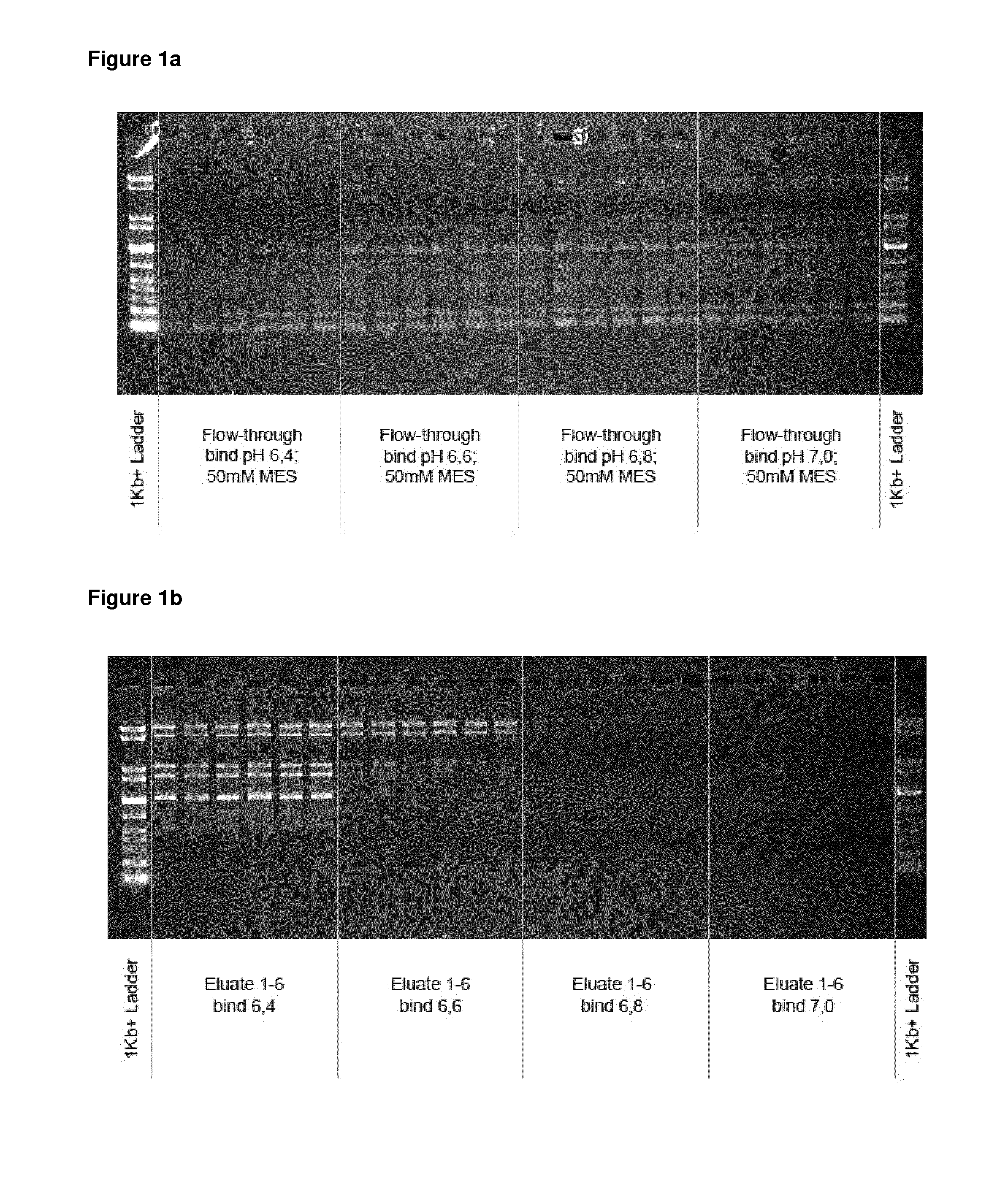 Methods for separating nucleic acids by size