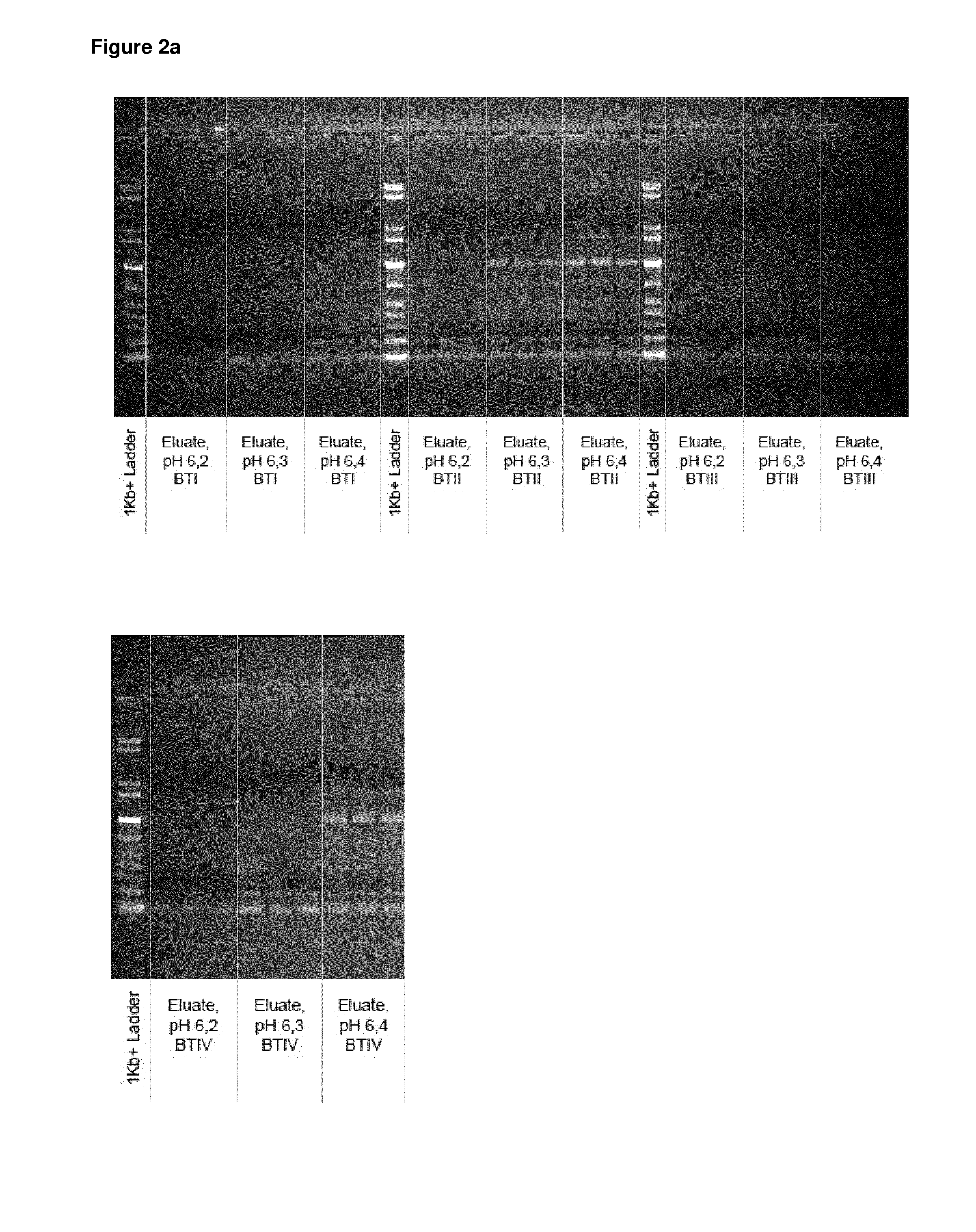 Methods for separating nucleic acids by size