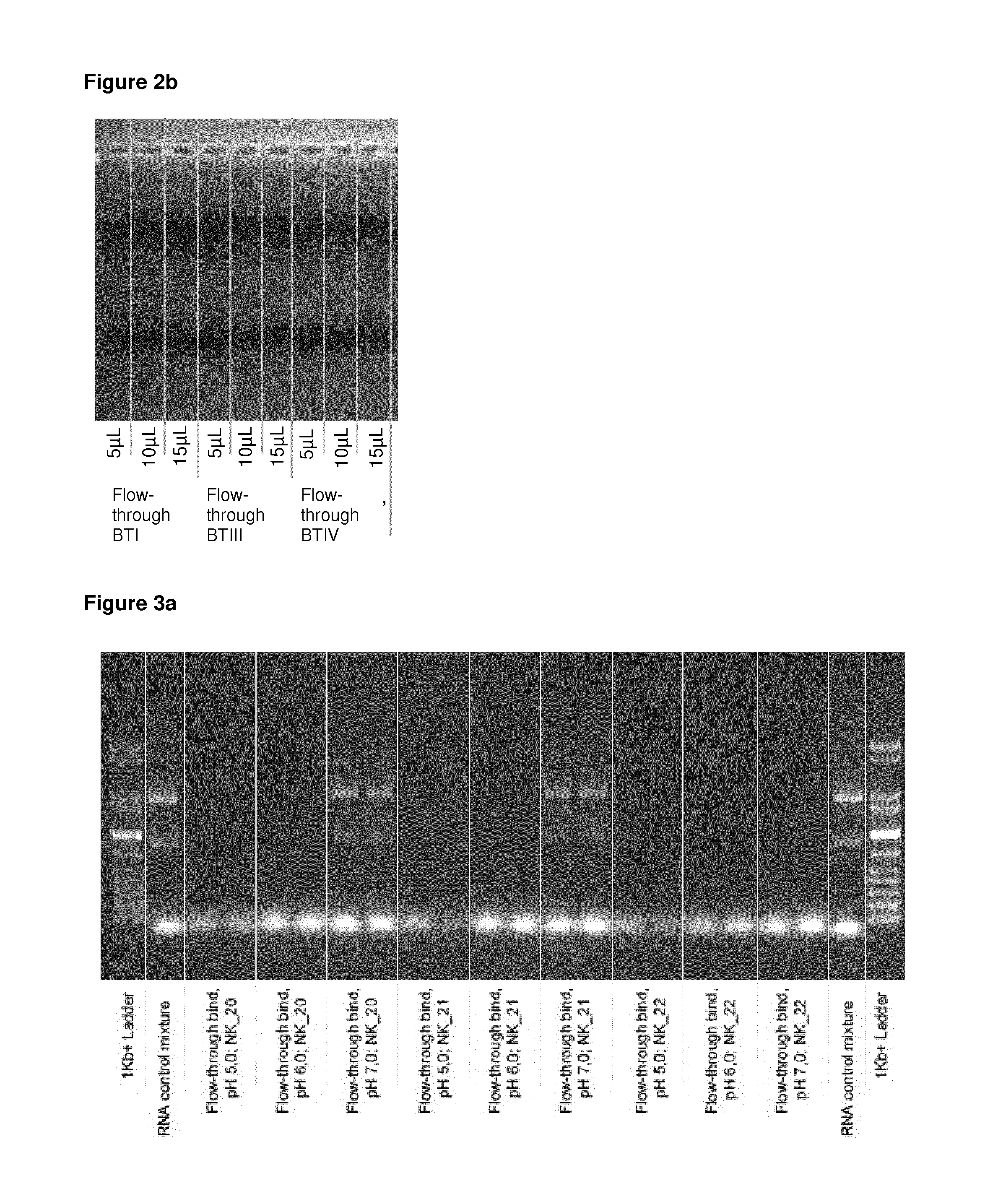 Methods for separating nucleic acids by size