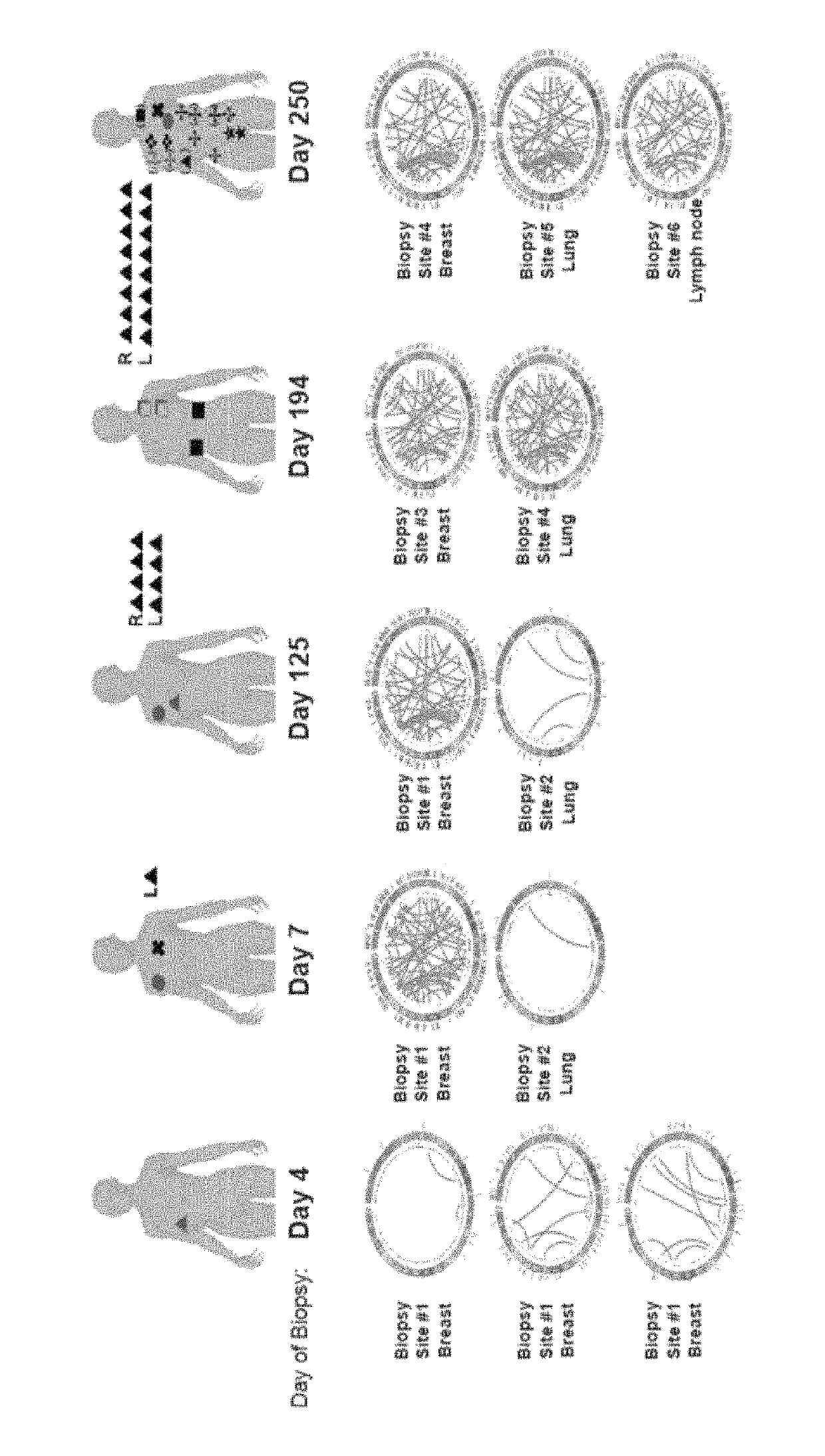 Iterative discovery of neoepitopes and adaptive immunotherapy and methods therefor