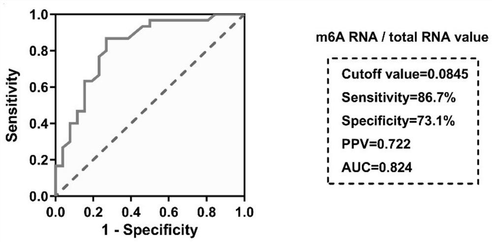 Application of RNA m6A methylation detection reagent in preparation of product for predicting breast cancer anti-HER2 treatment effect