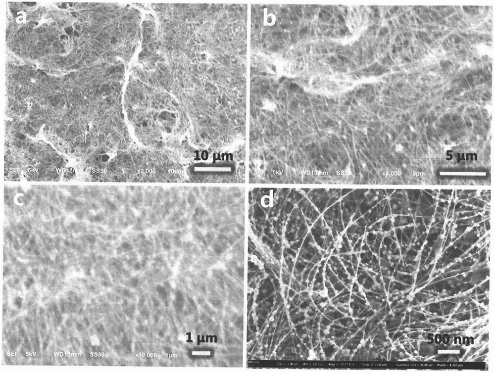 A foam nickel load fe  <sub>2</sub> o  <sub>3</sub> @ni  <sub>3</sub> s  <sub>2</sub> Preparation method of composite structure oer electrocatalyst