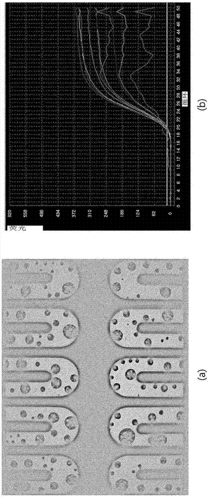 Sealing device of microfluidic chip and operation method therefor