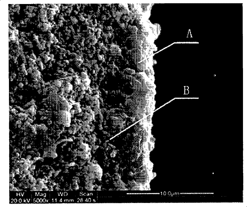 Gas desulfurization and denitration method