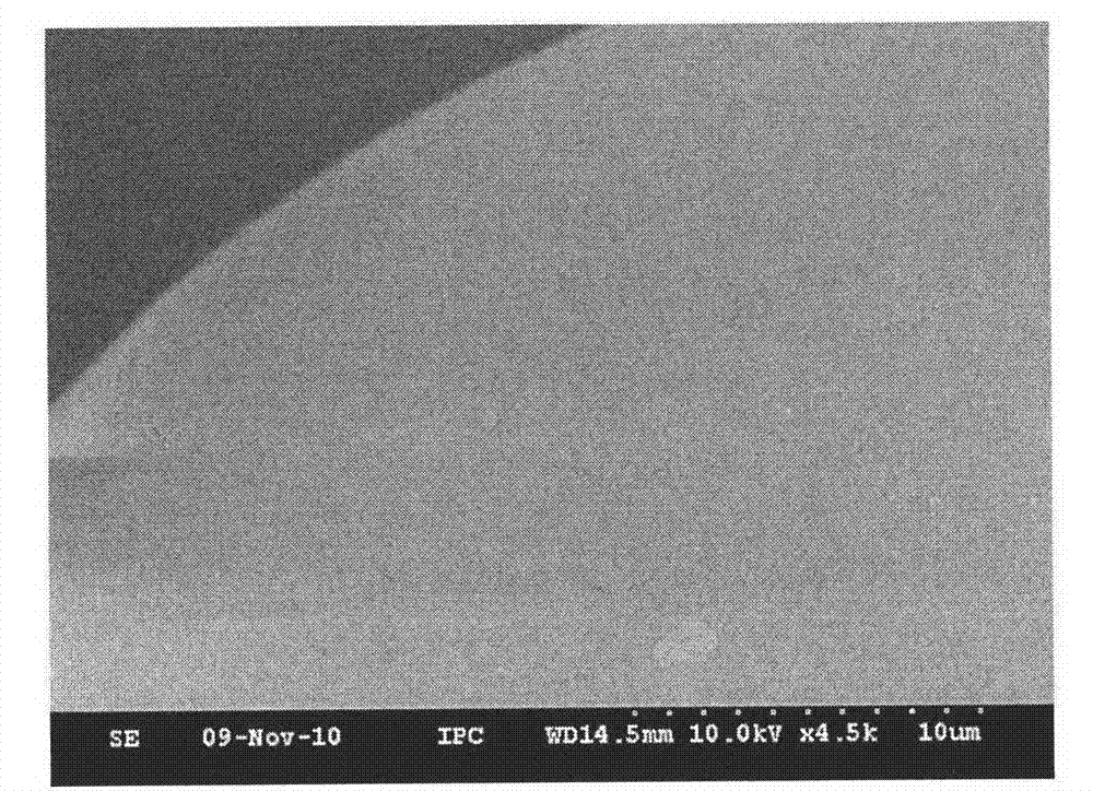 Surface chemical plating treatment process for hollow glass microsphere, plated metal hollow glass microsphere and application thereof