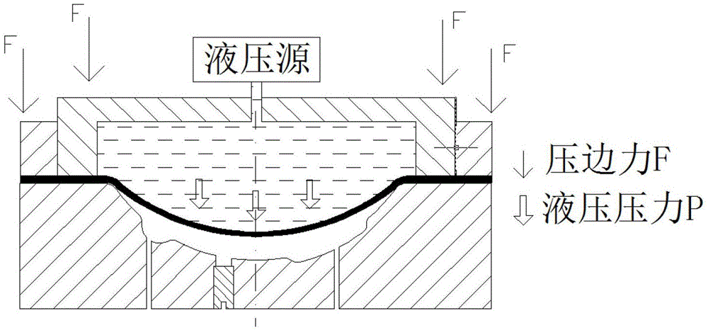 Shock hydraulic composite forming process for small feature part of complex part