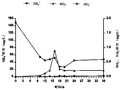 Pseudomonas monteilii CY06 with efficient nitrogen reduction function and microecological preparation thereof, and application of microecological preparation