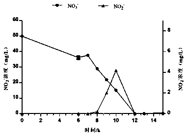 Pseudomonas monteilii CY06 with efficient nitrogen reduction function and microecological preparation thereof, and application of microecological preparation