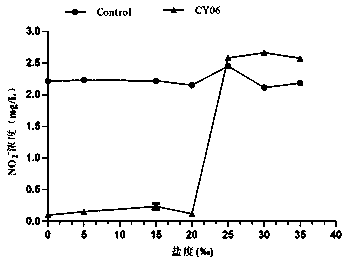 Pseudomonas monteilii CY06 with efficient nitrogen reduction function and microecological preparation thereof, and application of microecological preparation