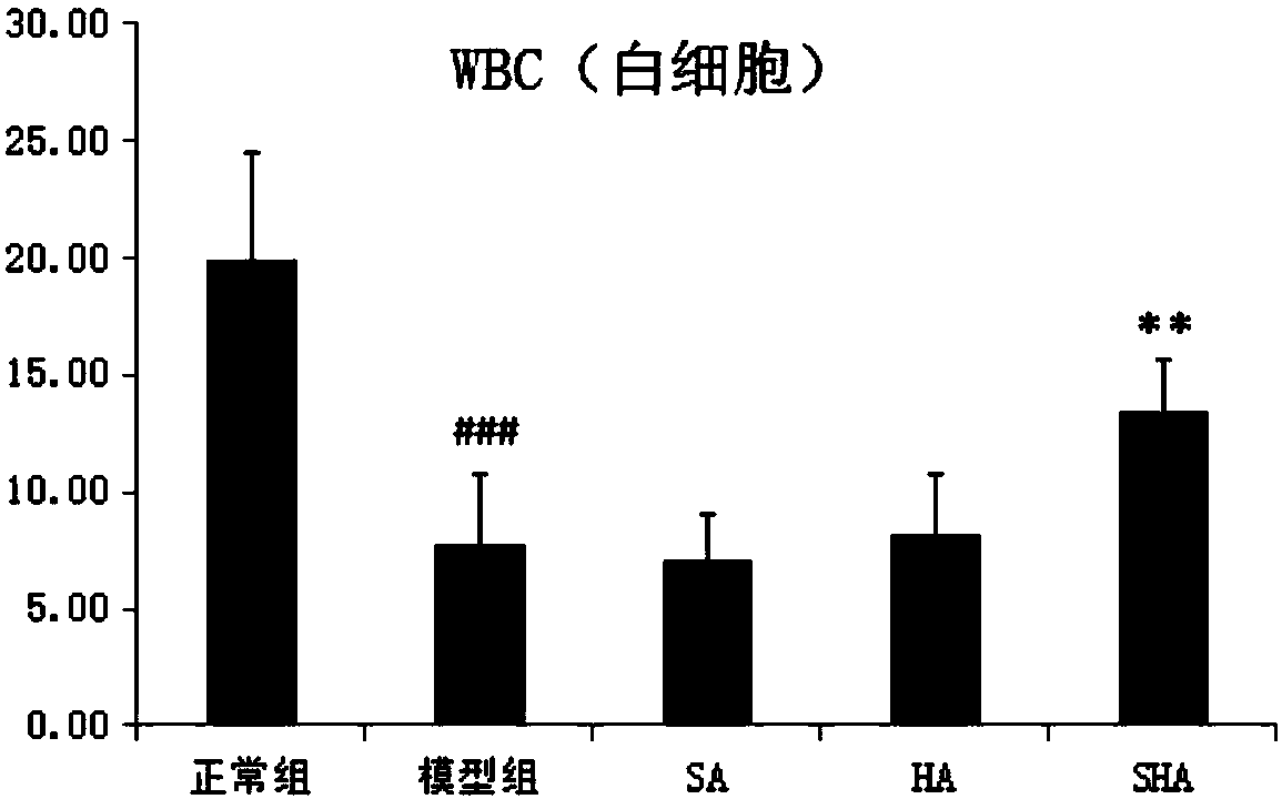 Composition used for improving immune function and application thereof