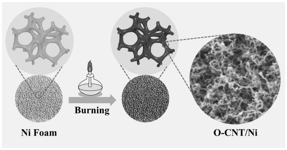 A self-supporting nickel-oxygen co-doped carbon nanotube catalyst grown in situ and its preparation and application