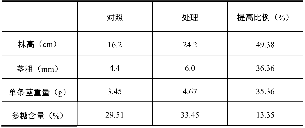 Method for obtaining high-polysaccharide and high-yield dendrobium officinale kimura ex migo through ion beam mutagenesis and application