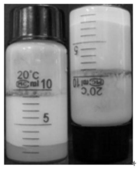 A method for ultrasonically preparing stable gel-like wheat prolamin pickering emulsion