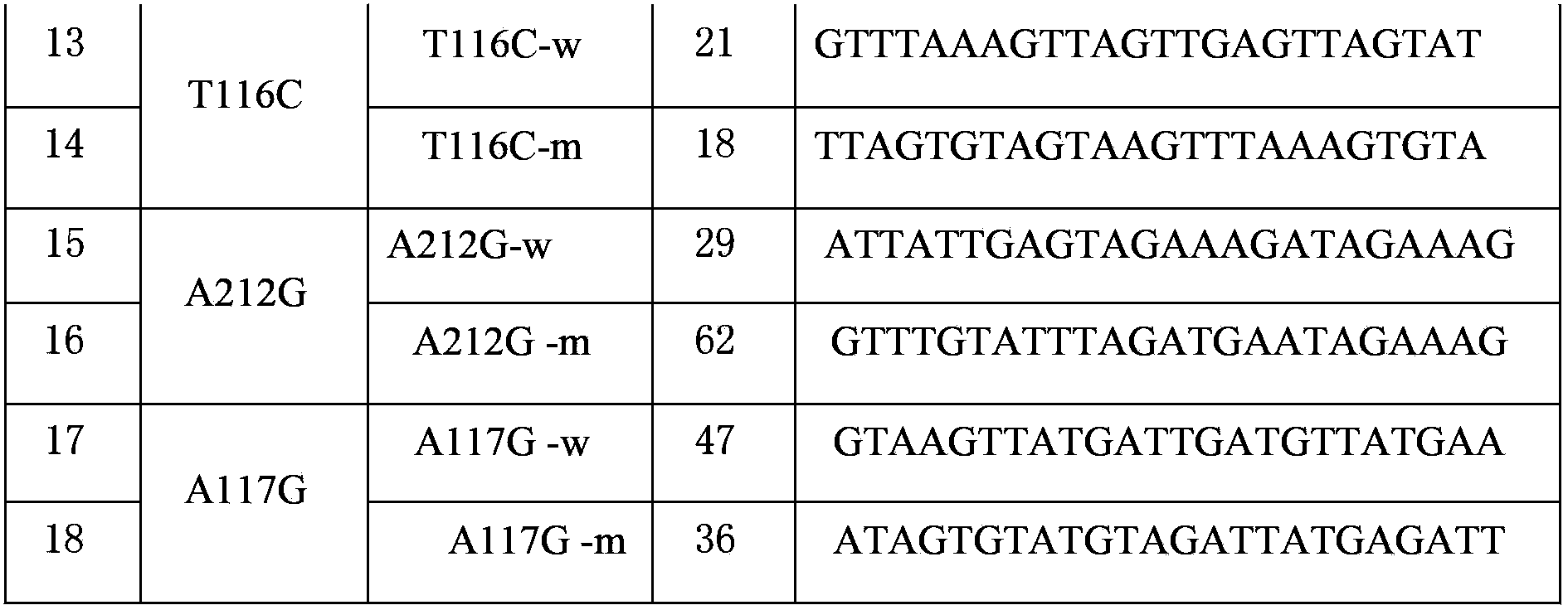 TGM5 gene mutation detection specific primer and liquid phase chip