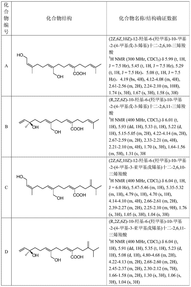 Preparation method of smallanthus sonchifolitus diterpene acid compound and compound obtained by using preparation method