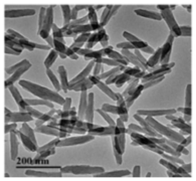 Degradable antibacterial film and preparation method thereof