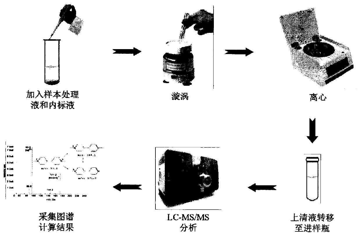 Kit for quantifying paraquat in plasma by using liquid chromatography-tandem mass spectrometry, and preparation method thereof