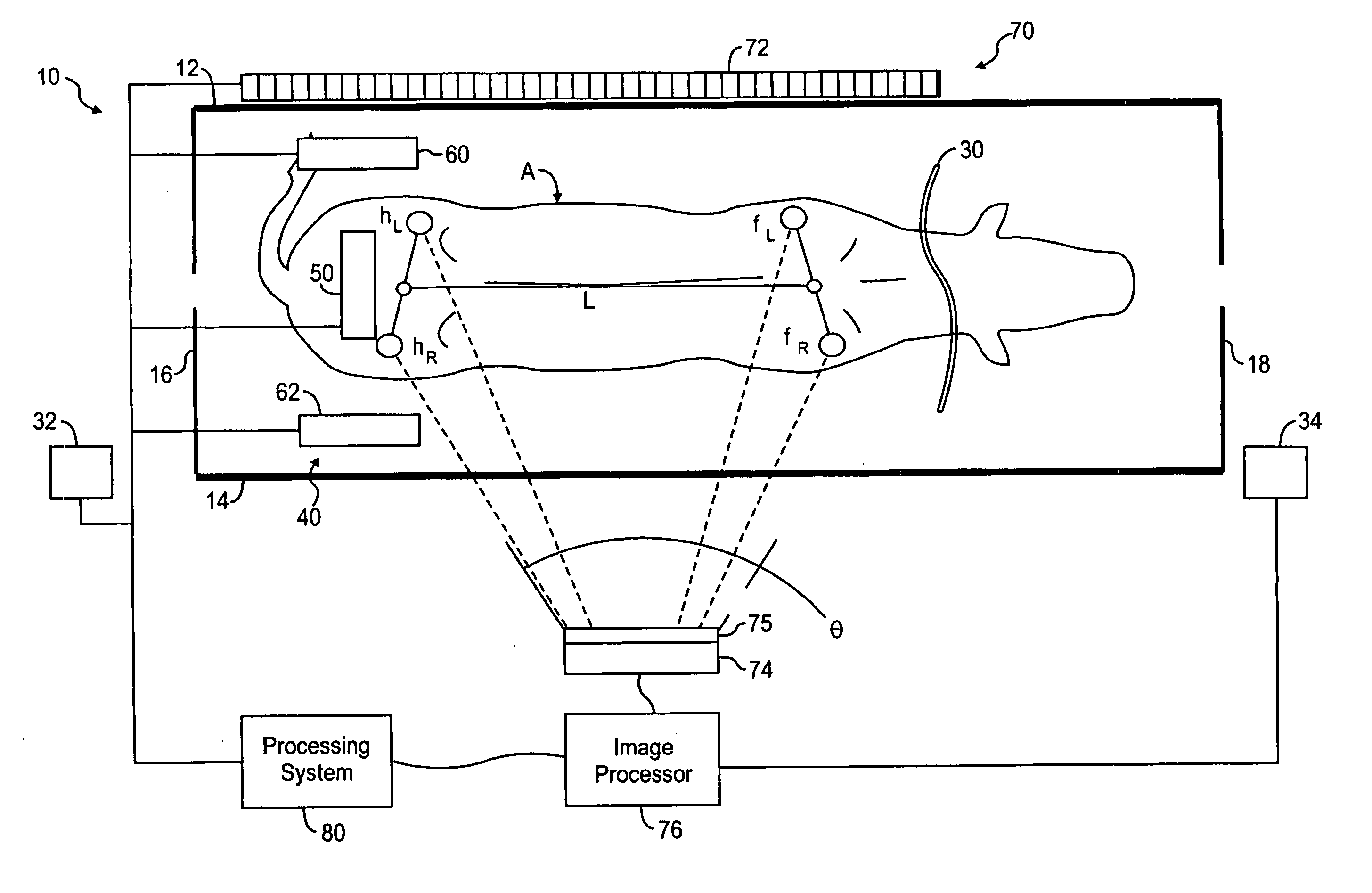 System and method for measuring animals