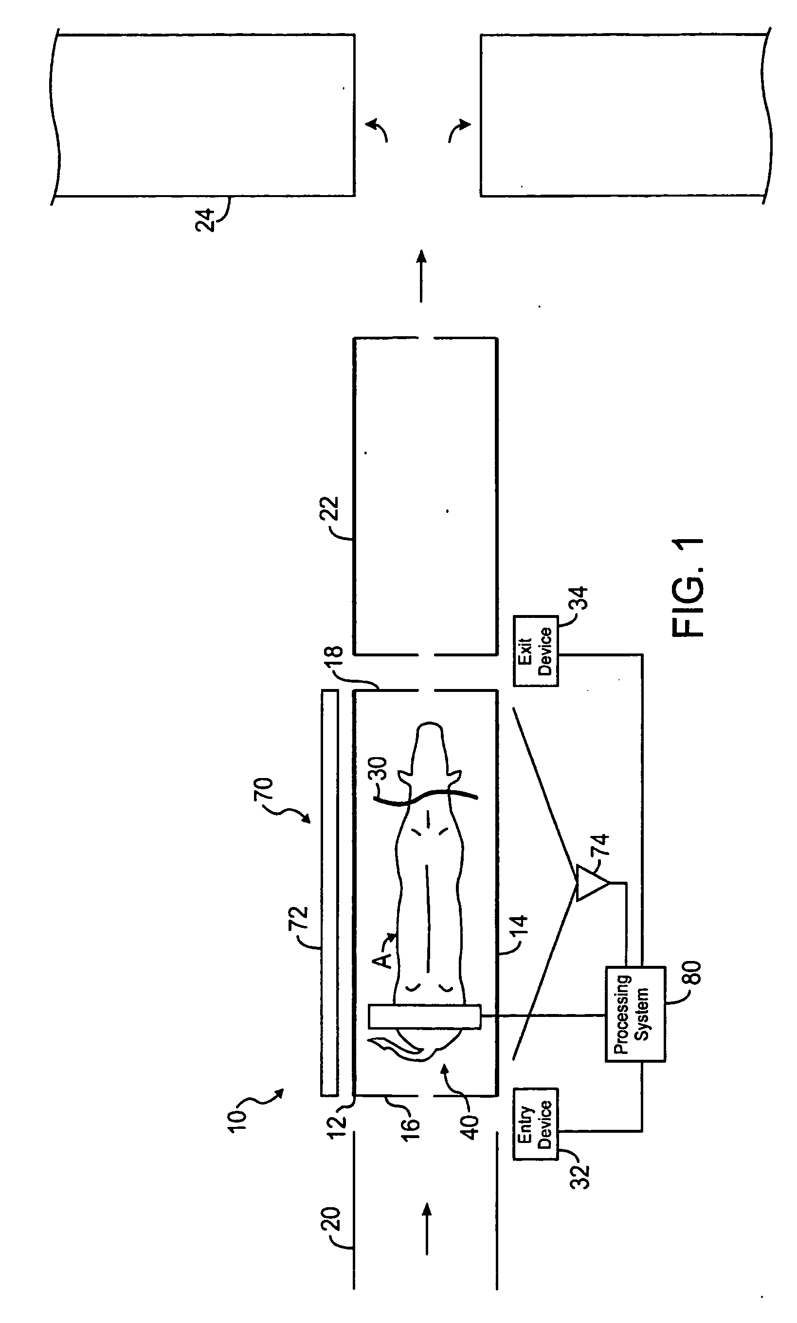 System and method for measuring animals