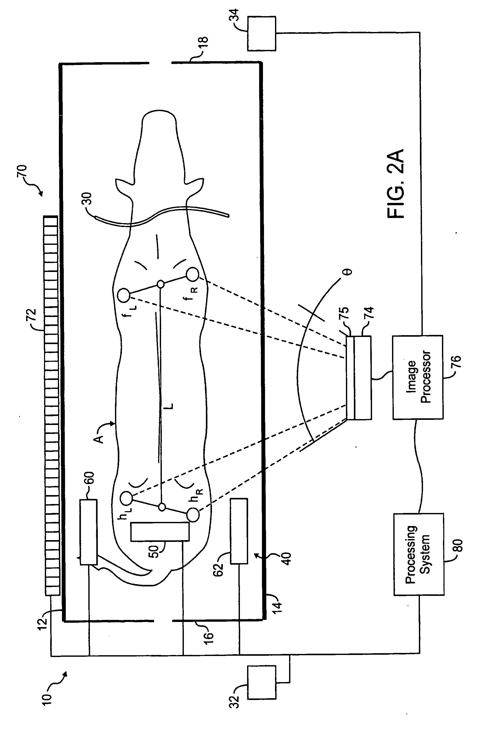 System and method for measuring animals