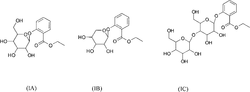 Ethyl salicylate glycosides and synthetic method and application thereof