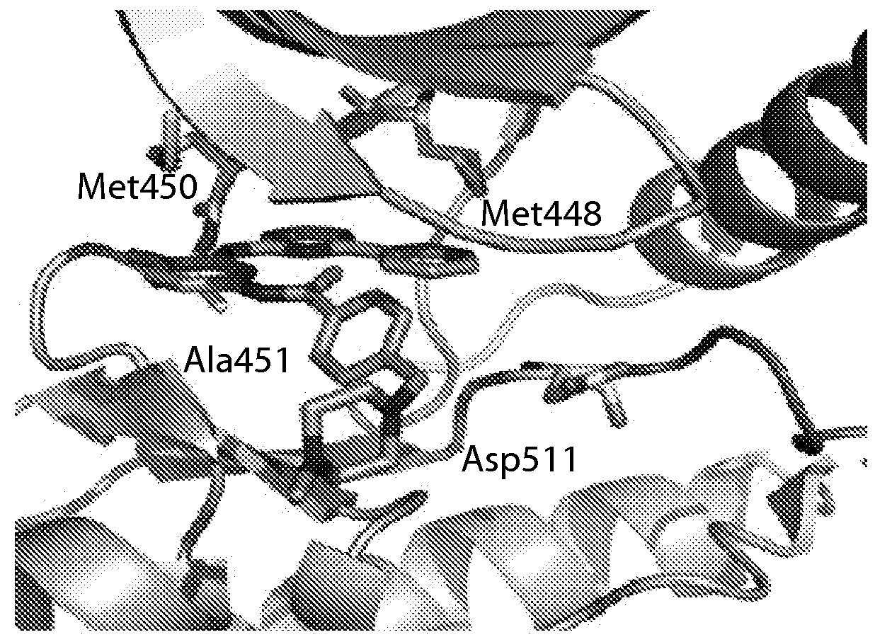 Inhibitors of c-Jun-<i>N</i>-terminal kinase (JNK)