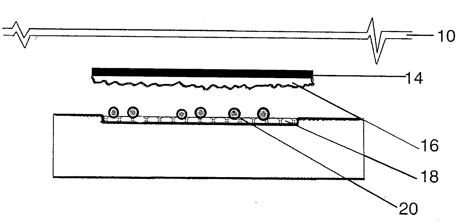 Wound dressing with a bacterial adsorbing composition and moisture holding system