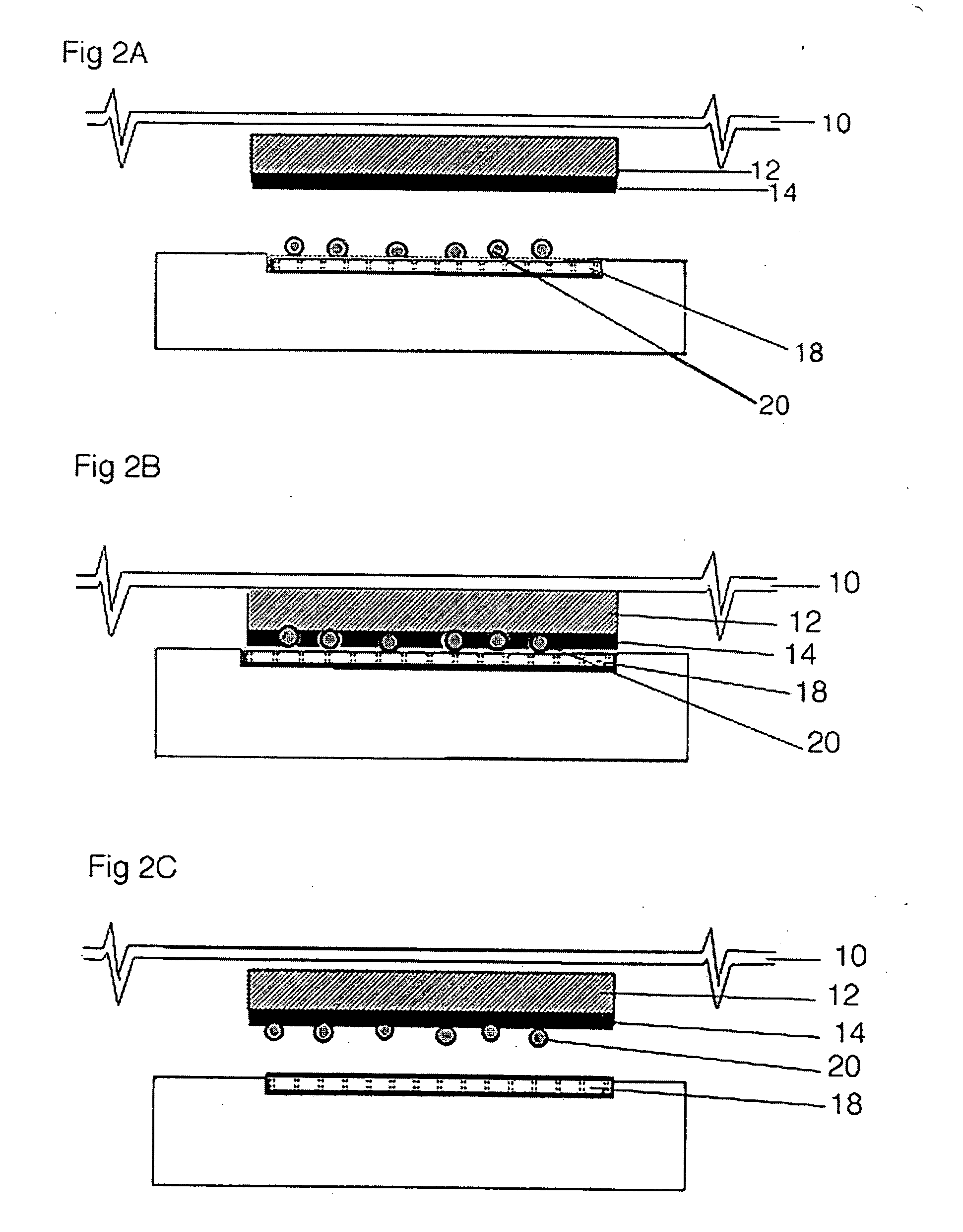 Wound dressing with a bacterial adsorbing composition and moisture holding system