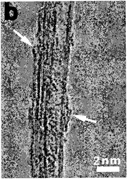 Method for preparing pH-responsive carbon nanotube fluorescent probe