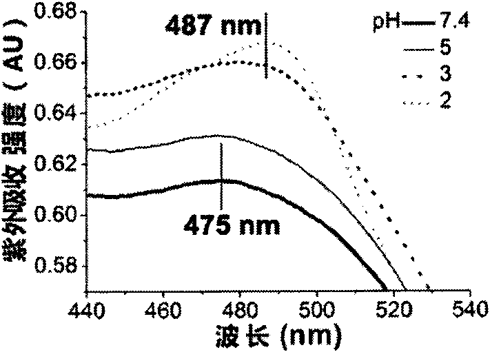 Method for preparing pH-responsive carbon nanotube fluorescent probe