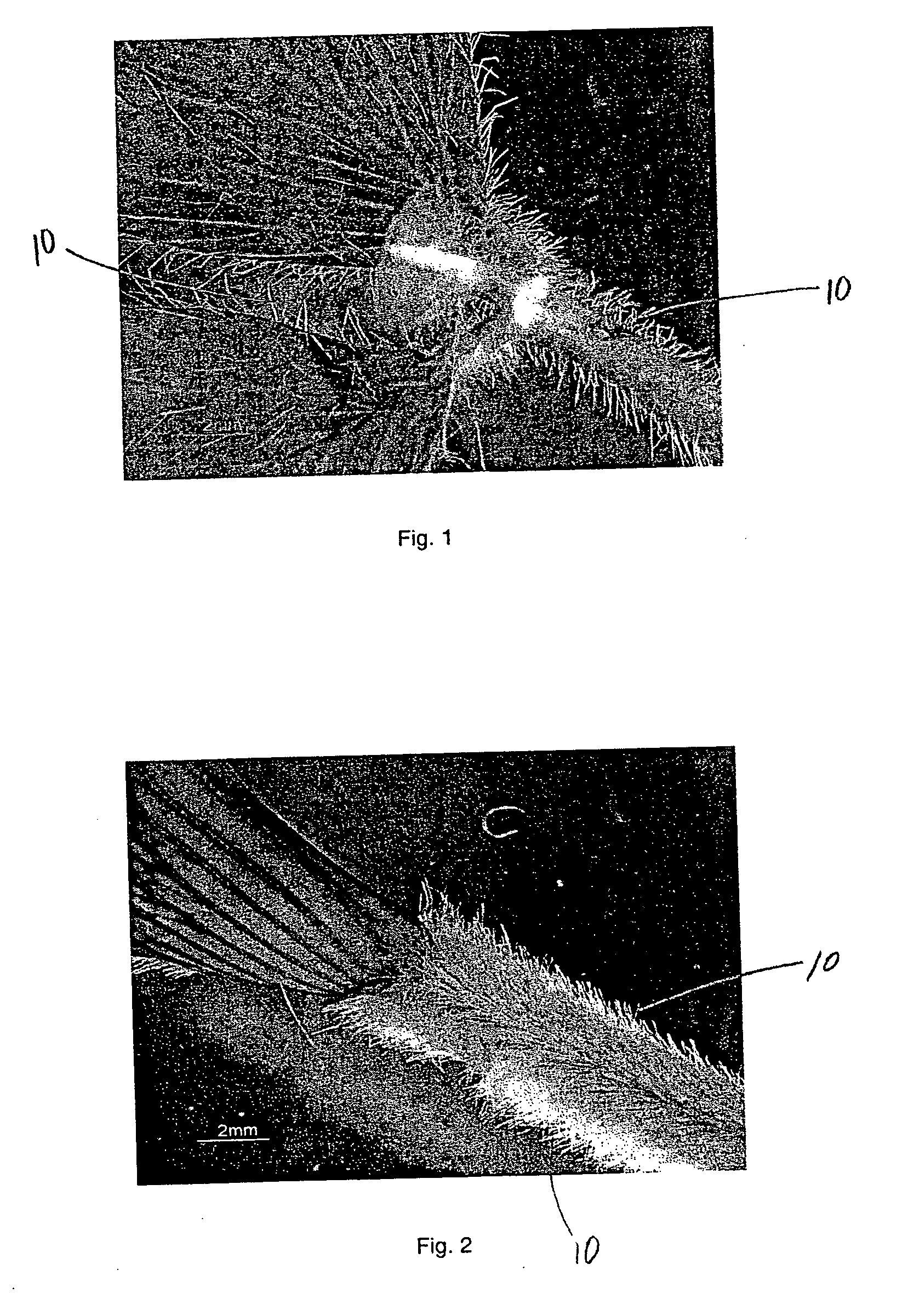 Individualized trichomes and products employing same