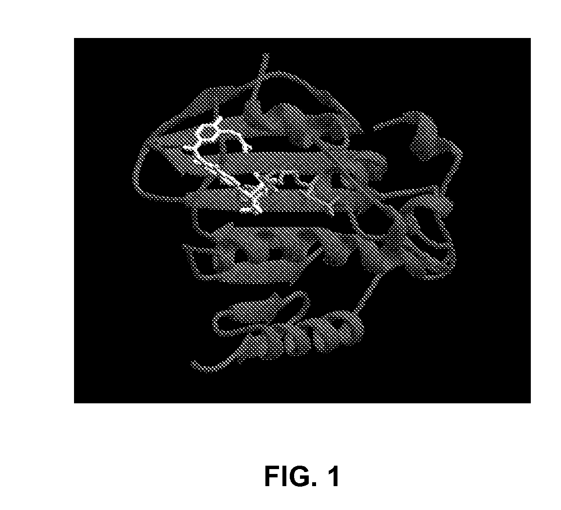 Combination of gyrase b inhibitors and protein synthesis inhibitors and uses thereof