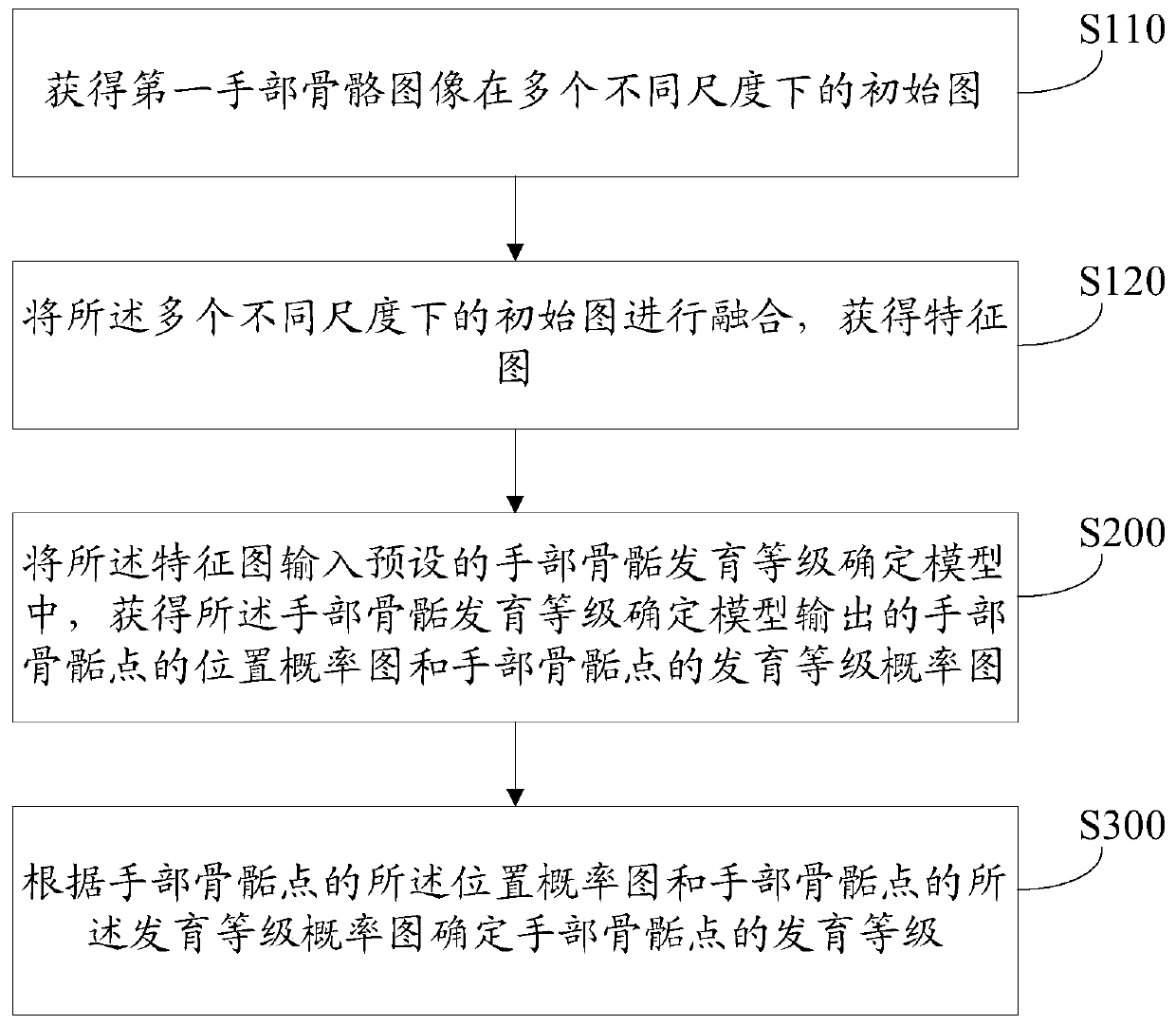 Hand epiphysis development grade determination method and related equipment