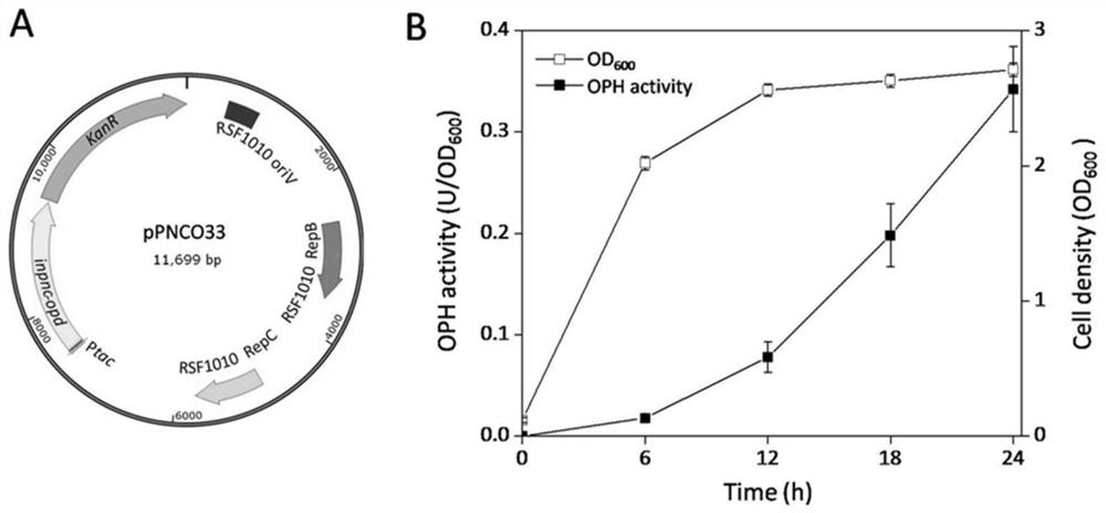 A method for detecting organophosphorus pesticides based on a flora-based sensing system