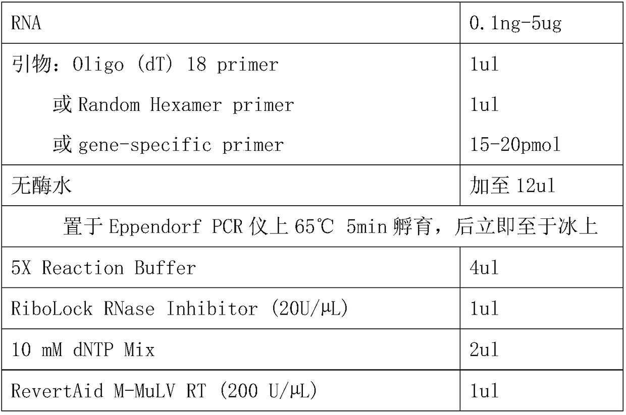 Molecular marker tcons_00016233, kit and application