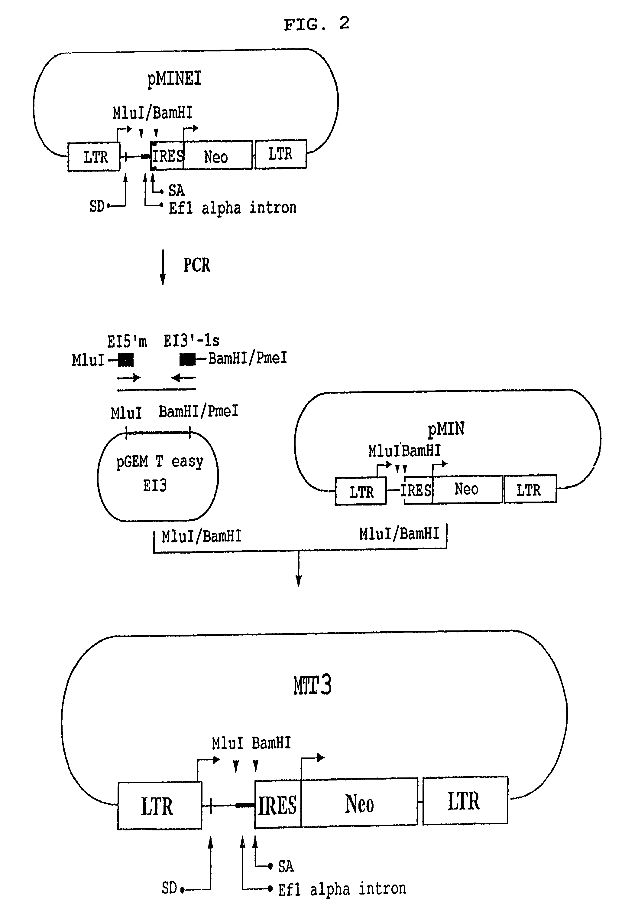 High efficiency retroviral vector which contains genetically engineered cellular non-coding sequence harboring splicing acceptor