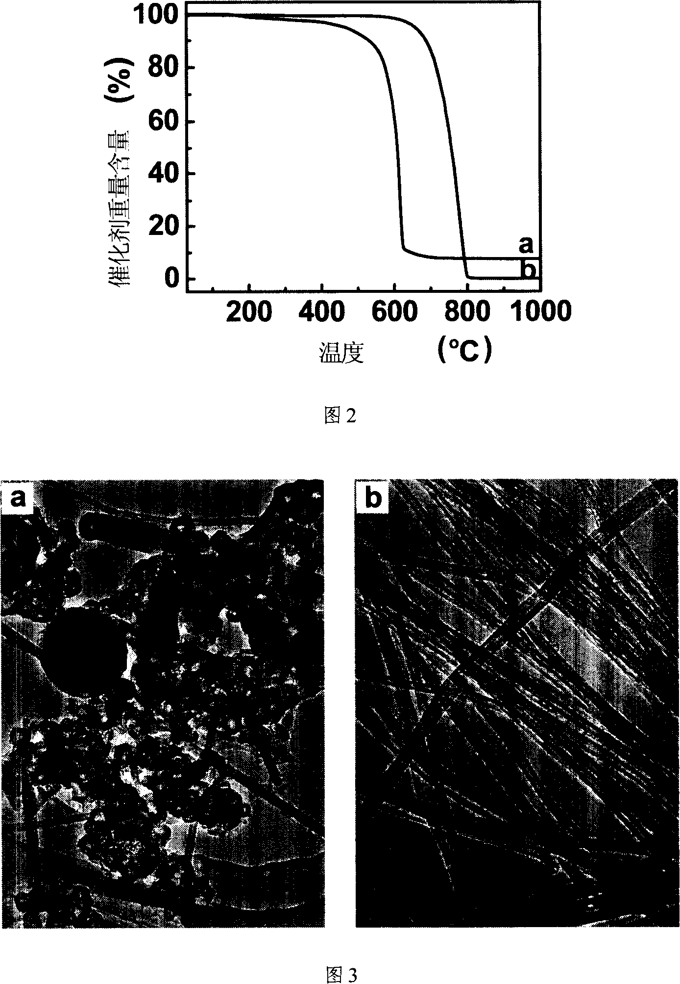 Method for purifying nano carbon fiber of multi-wall carbon nano-tube
