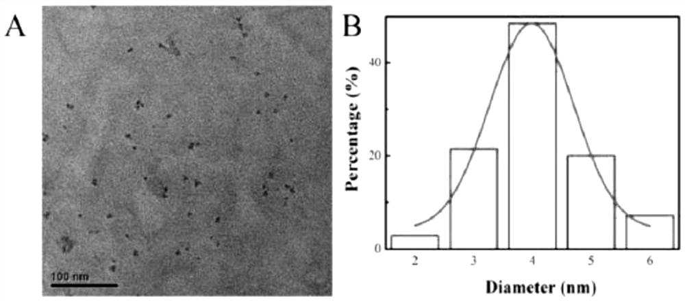 Application of nitrogen-doped carbon quantum dot delivery system in cartilage tissue