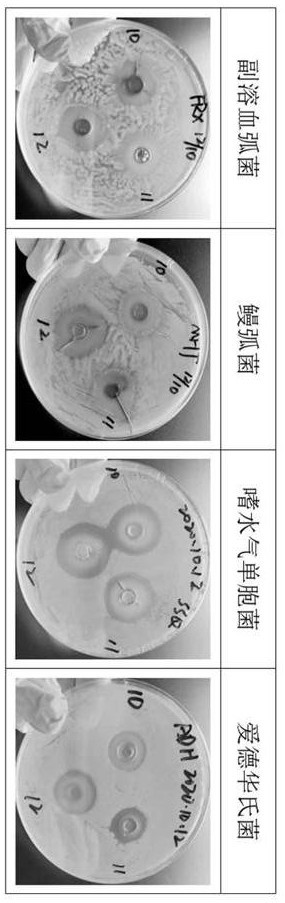 Synthetic process of mixed double-chain quaternary ammonium salt complex iodine for aquaculture