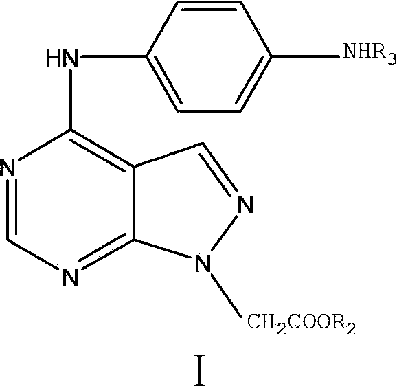 Allopurinol derivative and preparation method and application thereof