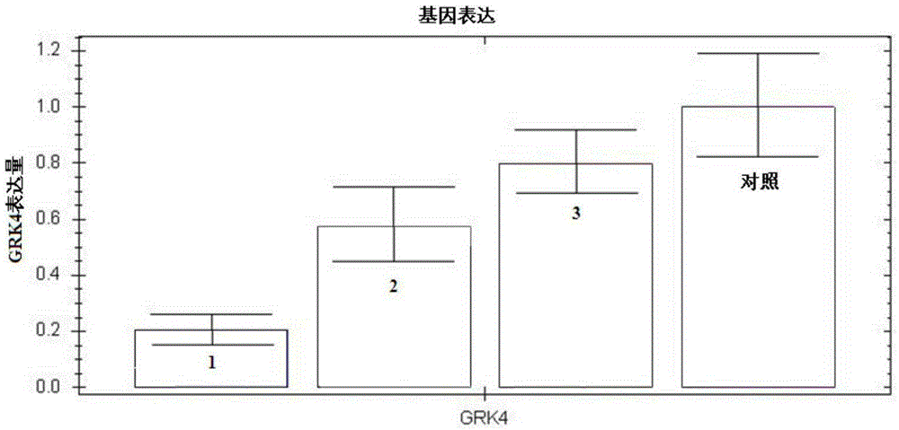 Application of ultrasound microbubble-mediated siRNA interference GRK4 in targeted adjustment of natriuresis and blood pressure level