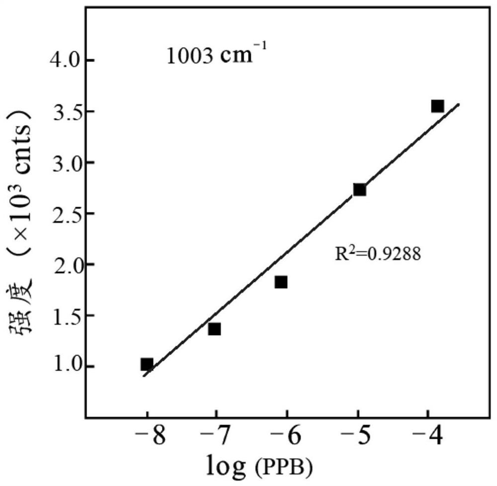 Composite substrate material and preparation method thereof, and quantitative detection method of plasticizer in Baijiu