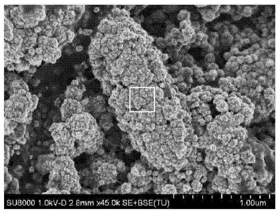 Method for in-situ synthesis of three-dimensional nanometer palladium catalyst layer through electrode activity biological membrane and application