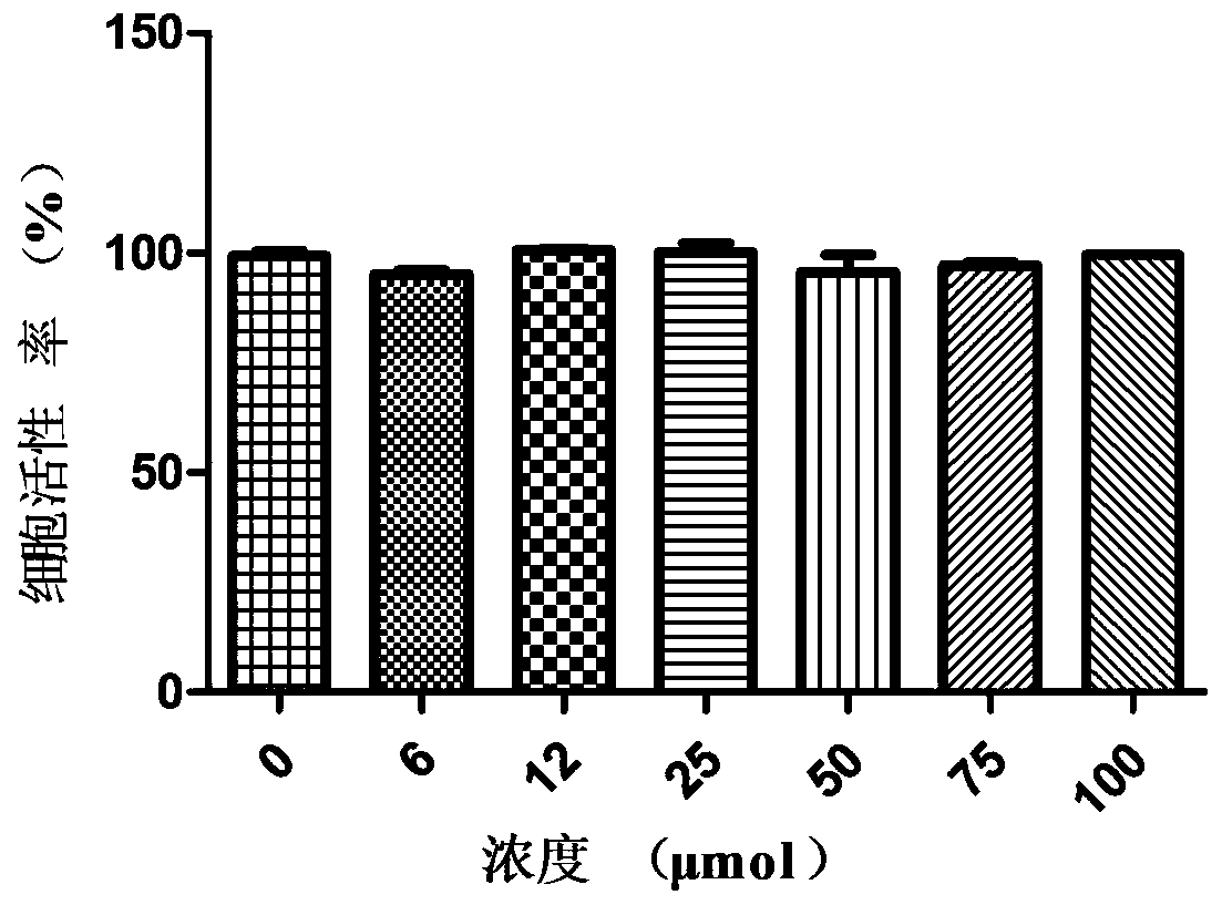 Application of mizoribine to preparation of medicine for preventing foot-and-mouth disease virus infection