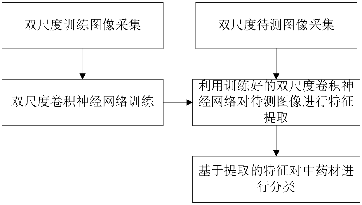 Traditional Chinese medicinal material identification method and system based on a double-scale convolutional neural network
