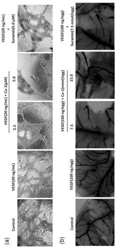 A kind of mixed copper-based complex and its preparation method and application