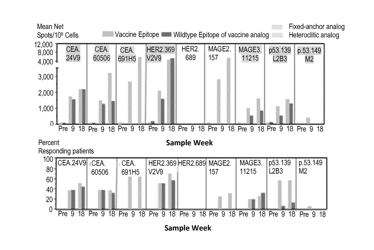 Method for inducing early t memory response with short peptides Anti-tumor vaccine