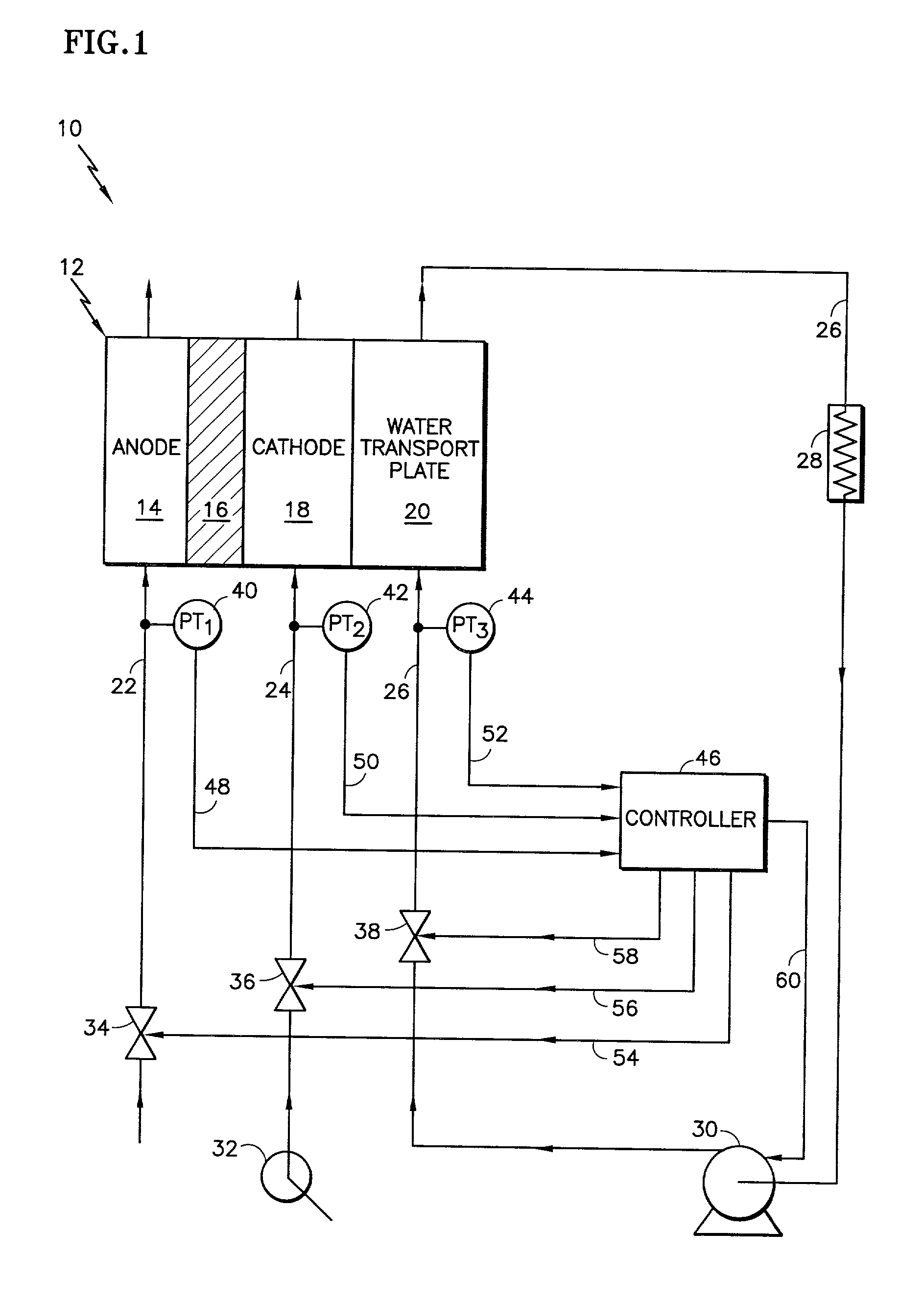 Fuel cell having interdigitated flow channels and water transport plates